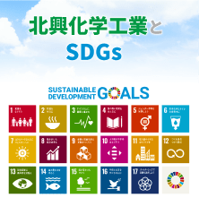 北興化学工業とSDGs