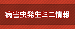 病害虫発生ミニ情報