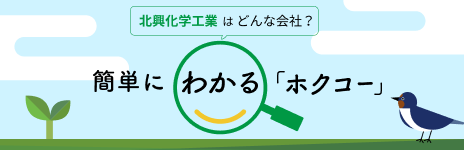 個人投資家向けサイト 簡単にわかる「ホクコー」